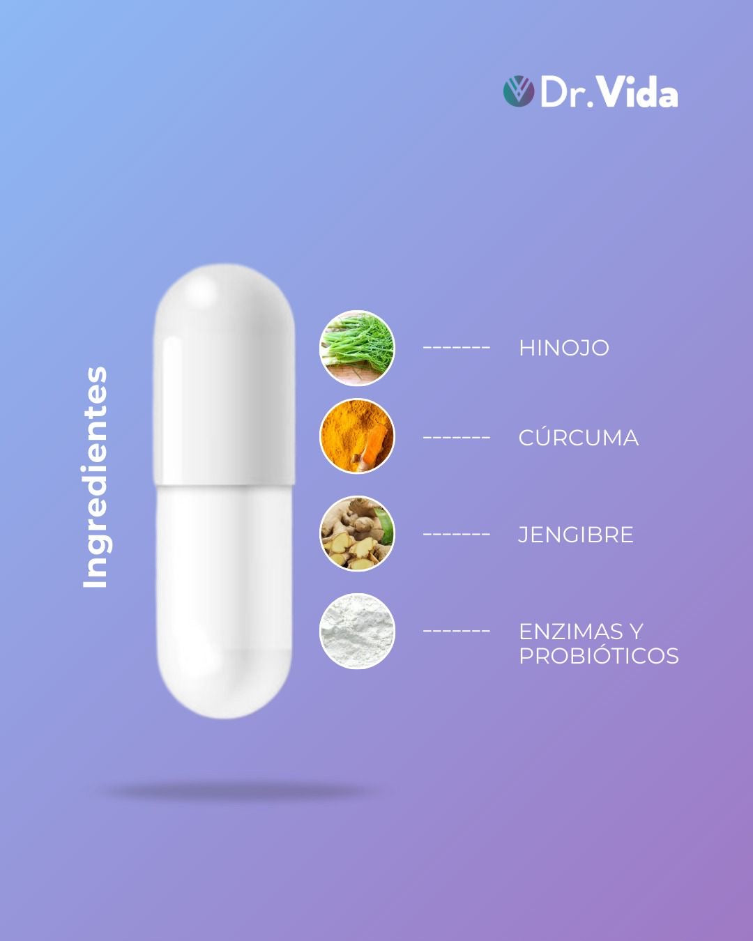 KIT BLOCK+ & PROBIOX